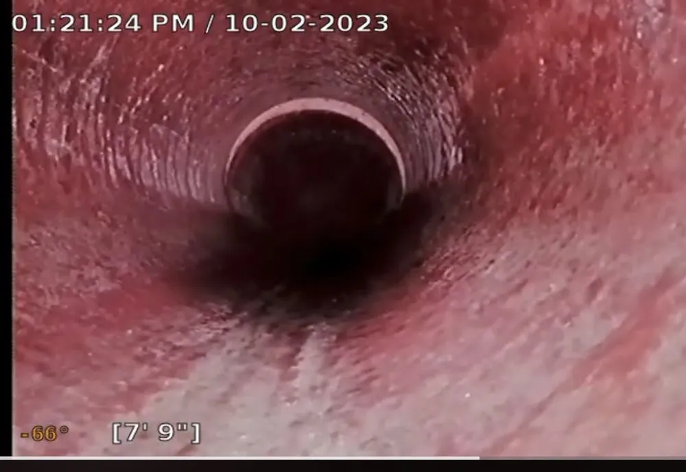 Slide of West Coast Sewer Inspection