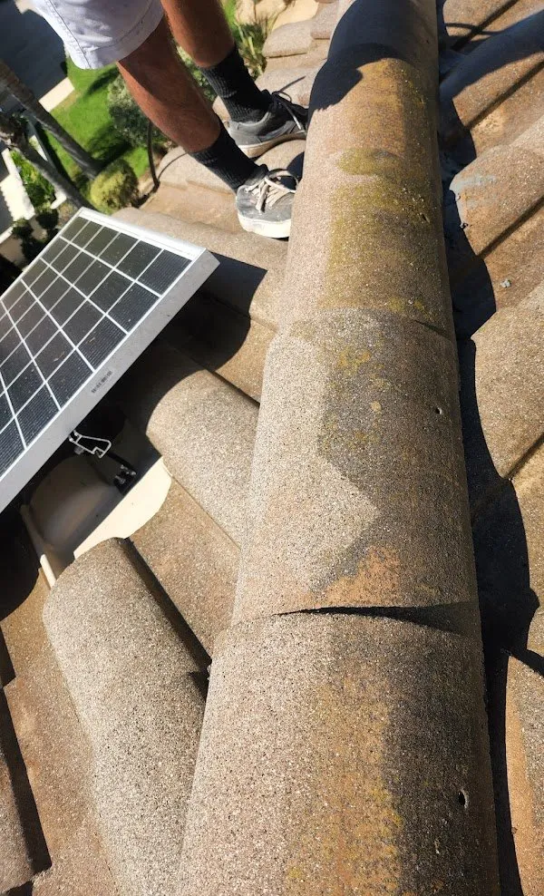 Slide of West Coats Painting