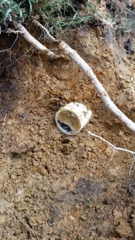 Slide of West Georgia Plumbing and Septic