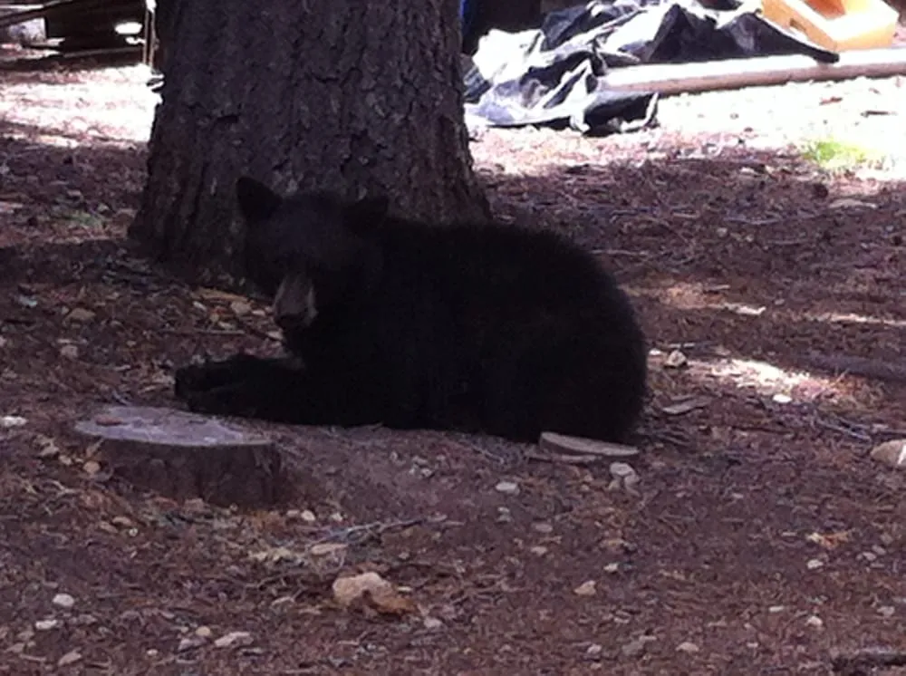 Slide of West Shore Plumbing Company