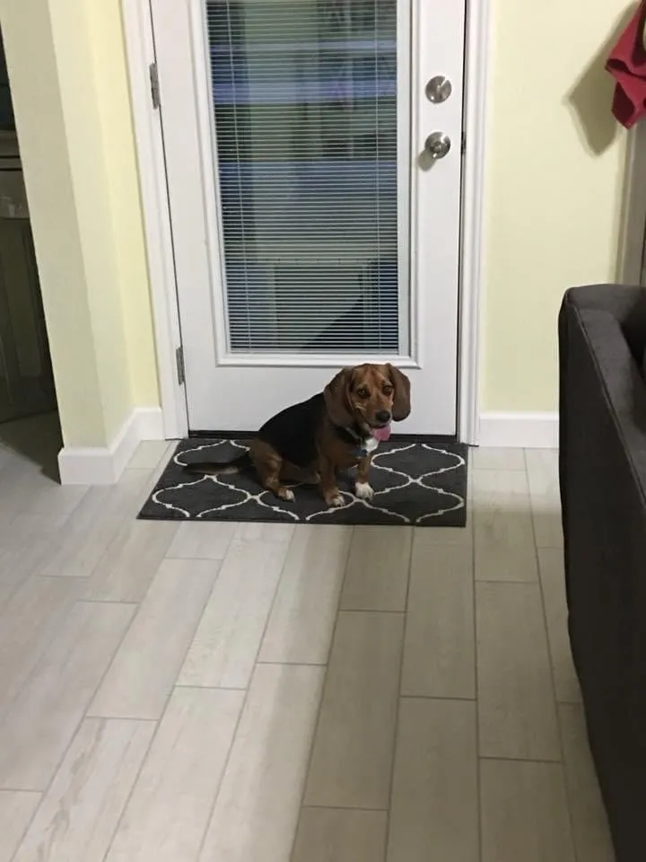 Slide of West Texas Flooring