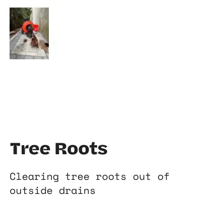 Slide of Westchester Drain Solutions