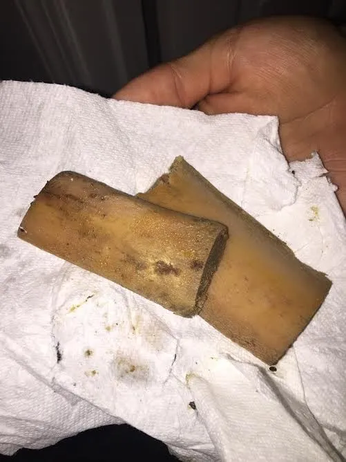 Slide of Westchester Drain Solutions