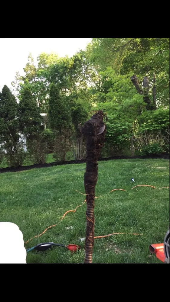 Expert drain cleaning experts serving White Plains, NY - Westchester Drain Solutions