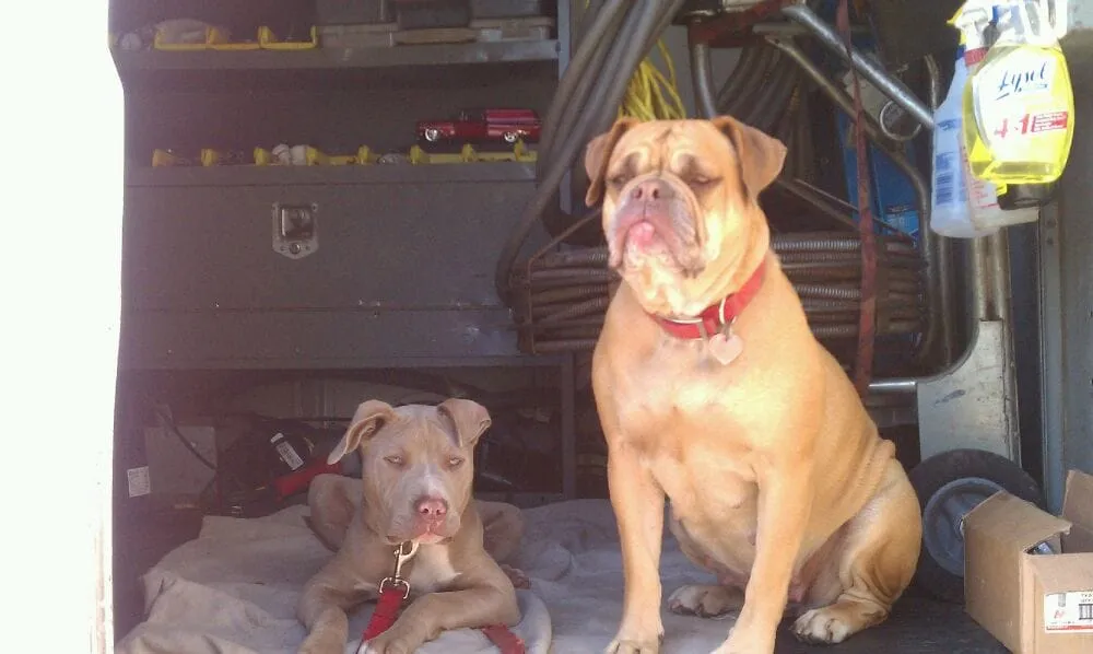 Slide of Westchester Plumbing