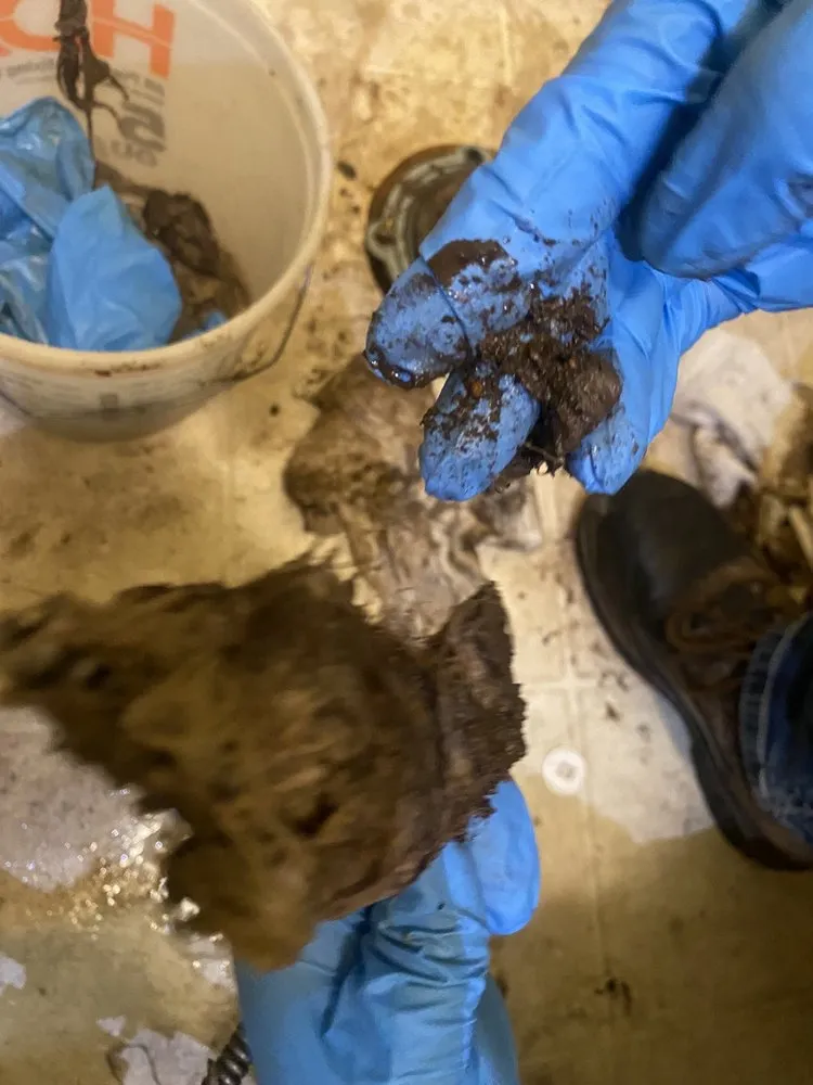 Slide of Westcoast Plumbing Service