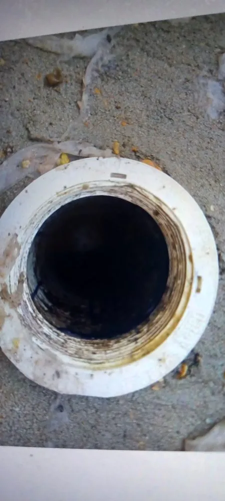 Slide of Westerfield Services