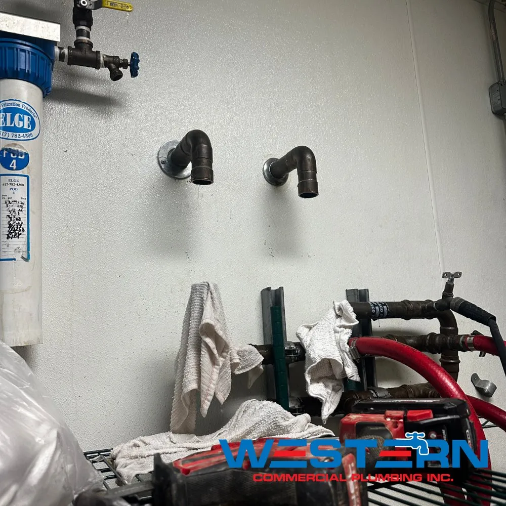 Professional water heater service service in Lake Elsinore, CA - Western Commercial Plumbing