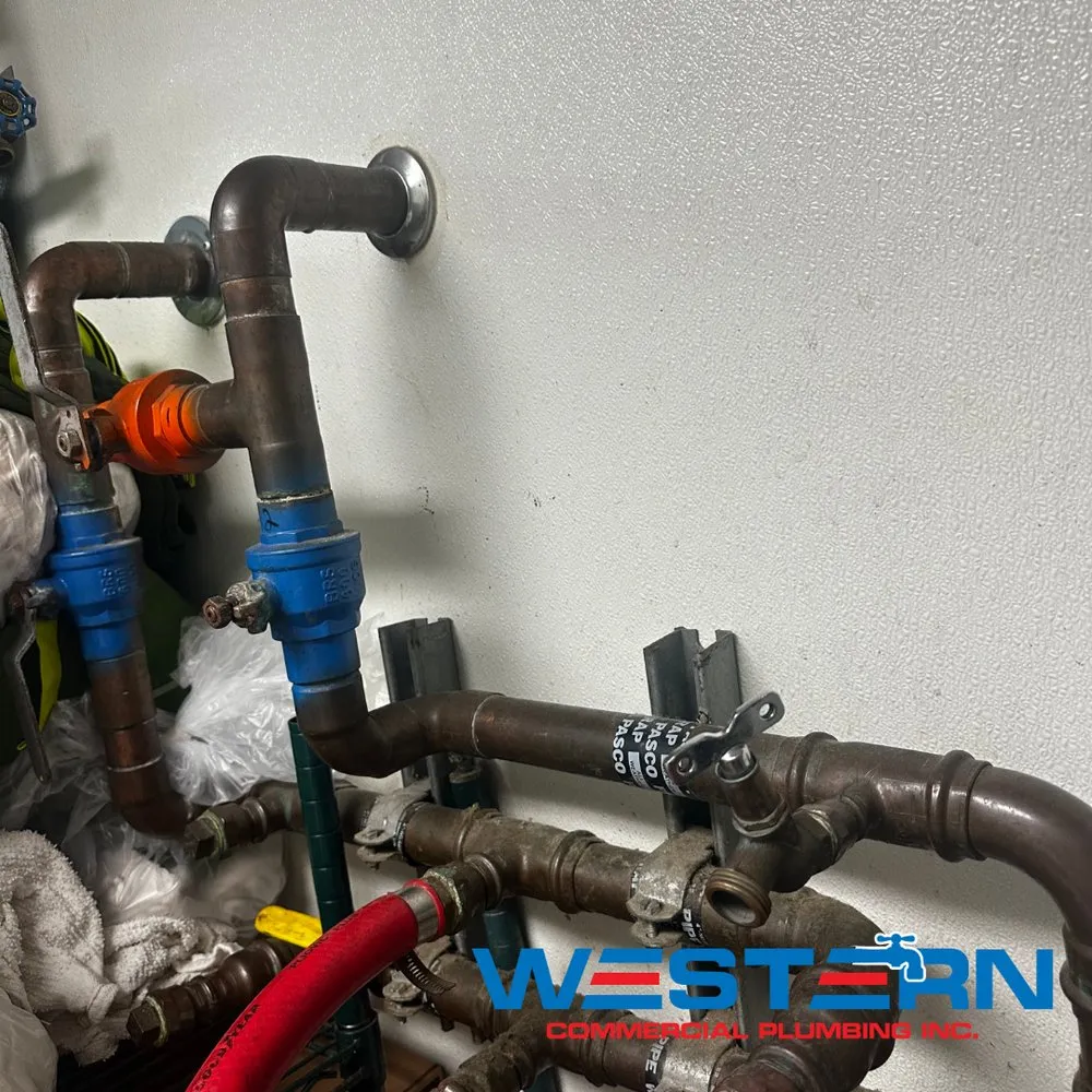 Quality drain cleaning for homes in Lake Elsinore, CA by Western Commercial Plumbing