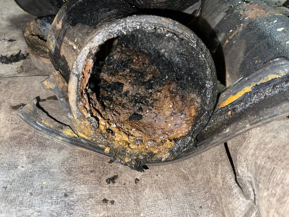 Slide of Western Rooter