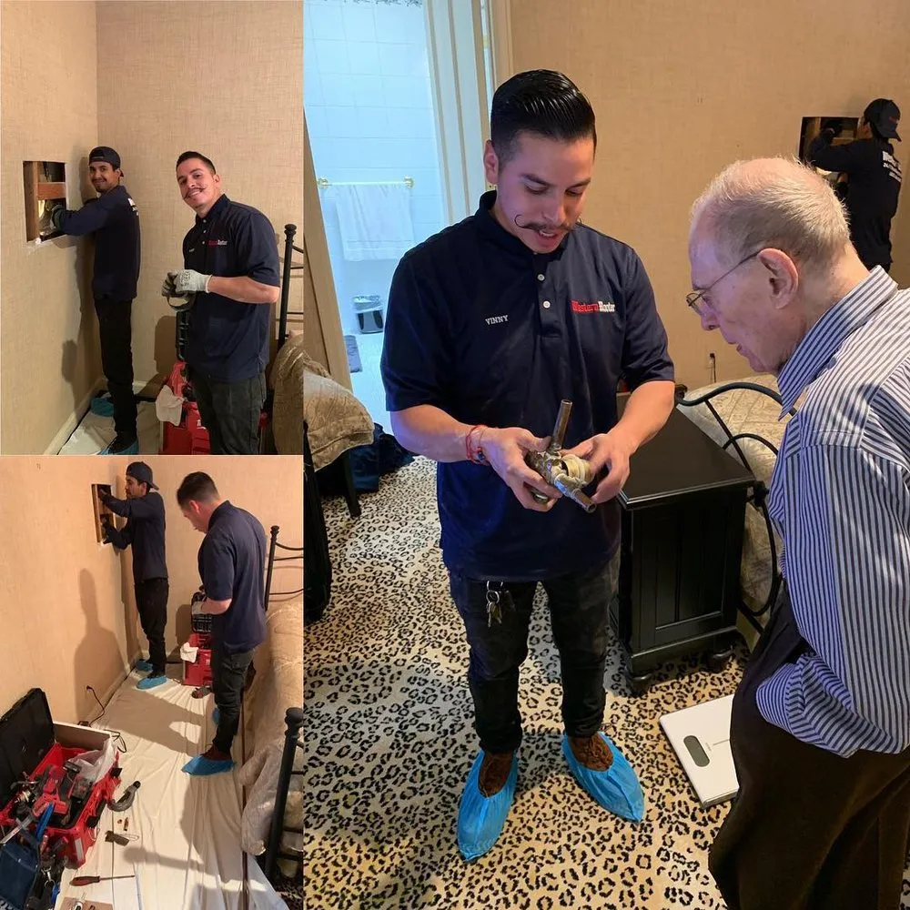 Slide of Western Rooter