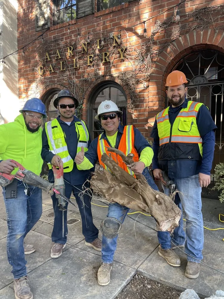 Slide of Western Rooter