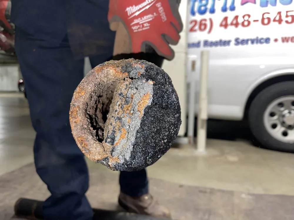 Slide of Western Rooter