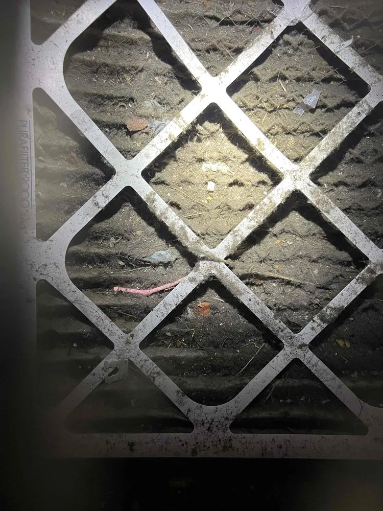 Slide of Western Sales & Services