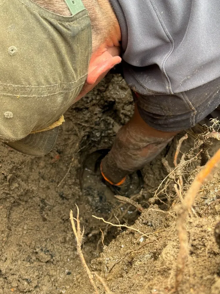 Slide of Westin Plumbing