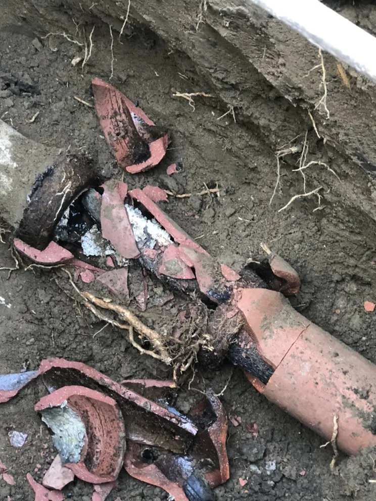 Quality drain cleaning for homes in Fremont, CA by Westridge Plumbing
