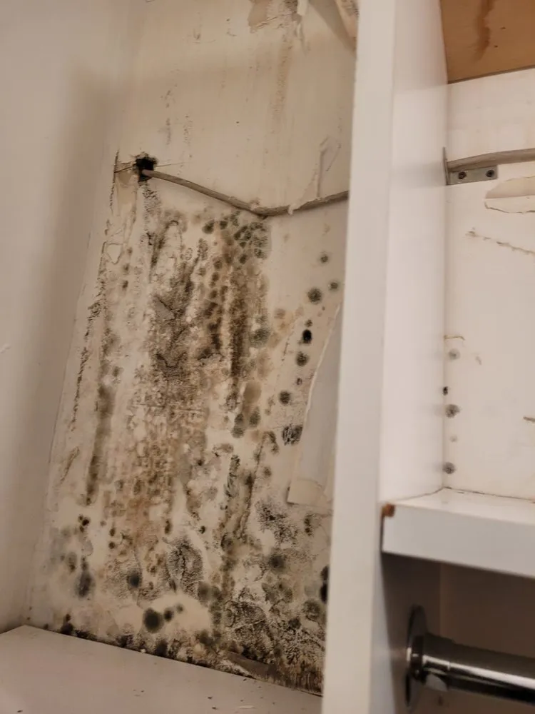 Slide of Whac A Mold