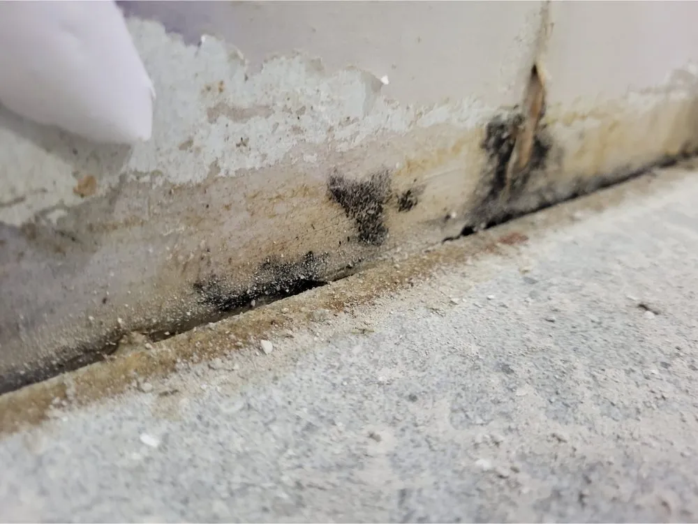 Slide of Whac A Mold