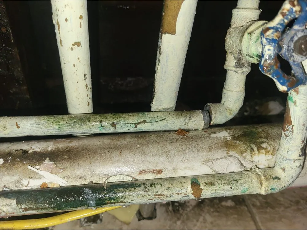 Slide of Whac A Mold