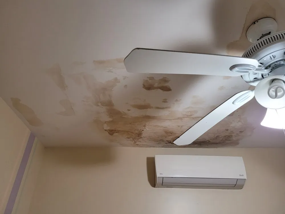 Slide of Whac A Mold