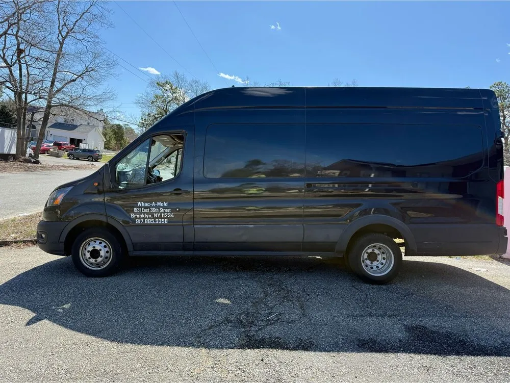 Slide of Whac A Mold