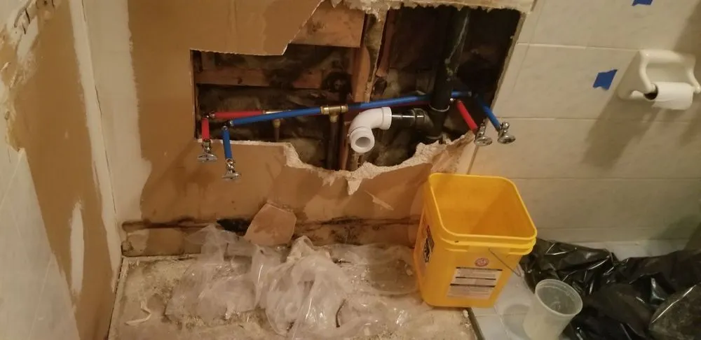 Slide of Whales Plumbing & Excavation