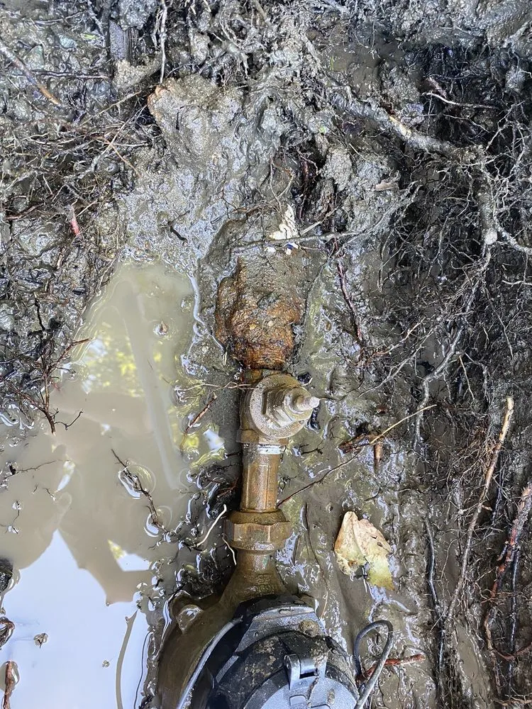 Affordable plumbing repair service in Rocklin, CA - Whest Koast Plumbing