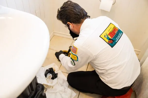 Whipple Service Champions