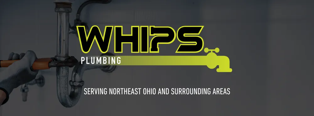 Slide of Whips Plumbing