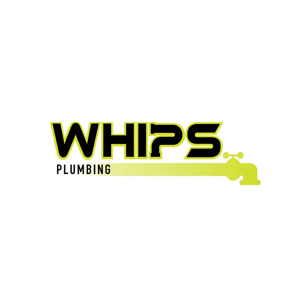 Slide of Whips Plumbing