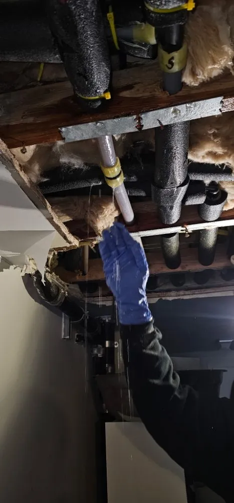 Slide of Whistle Plumbing