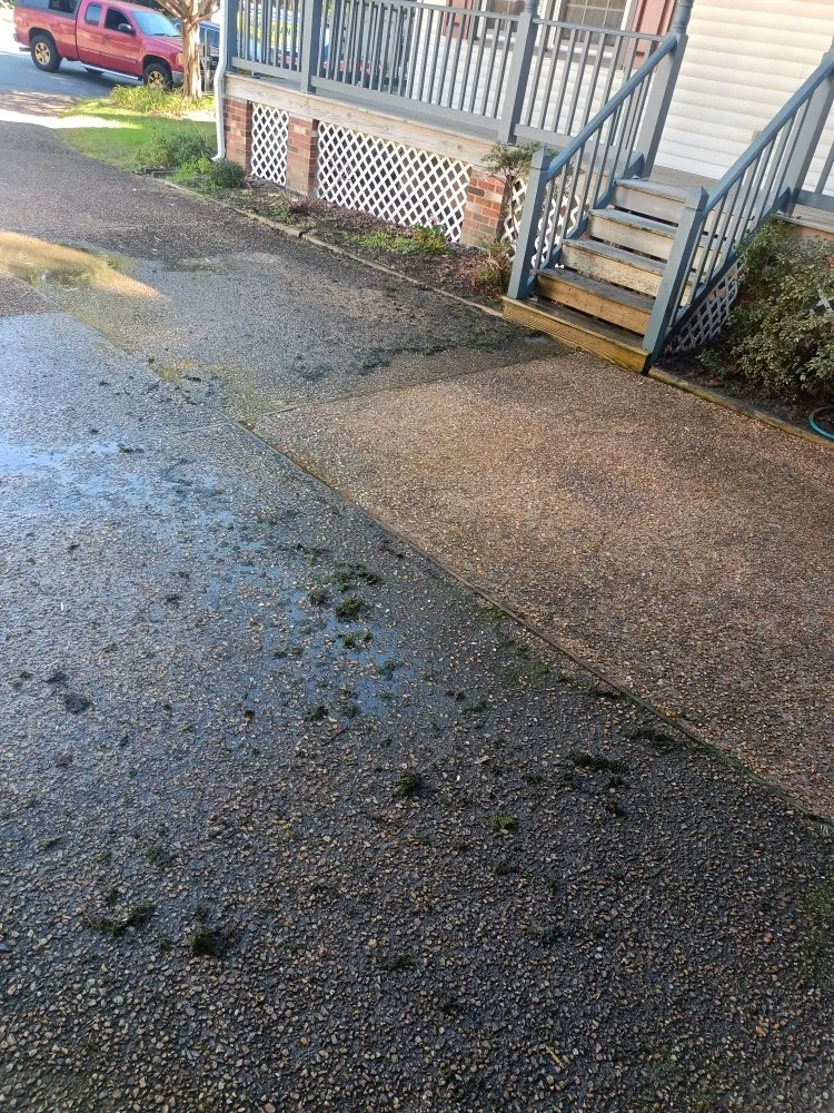 Slide of Whistling Ladders