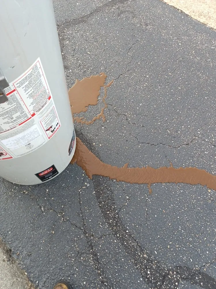 Slide of Whistling Ladders