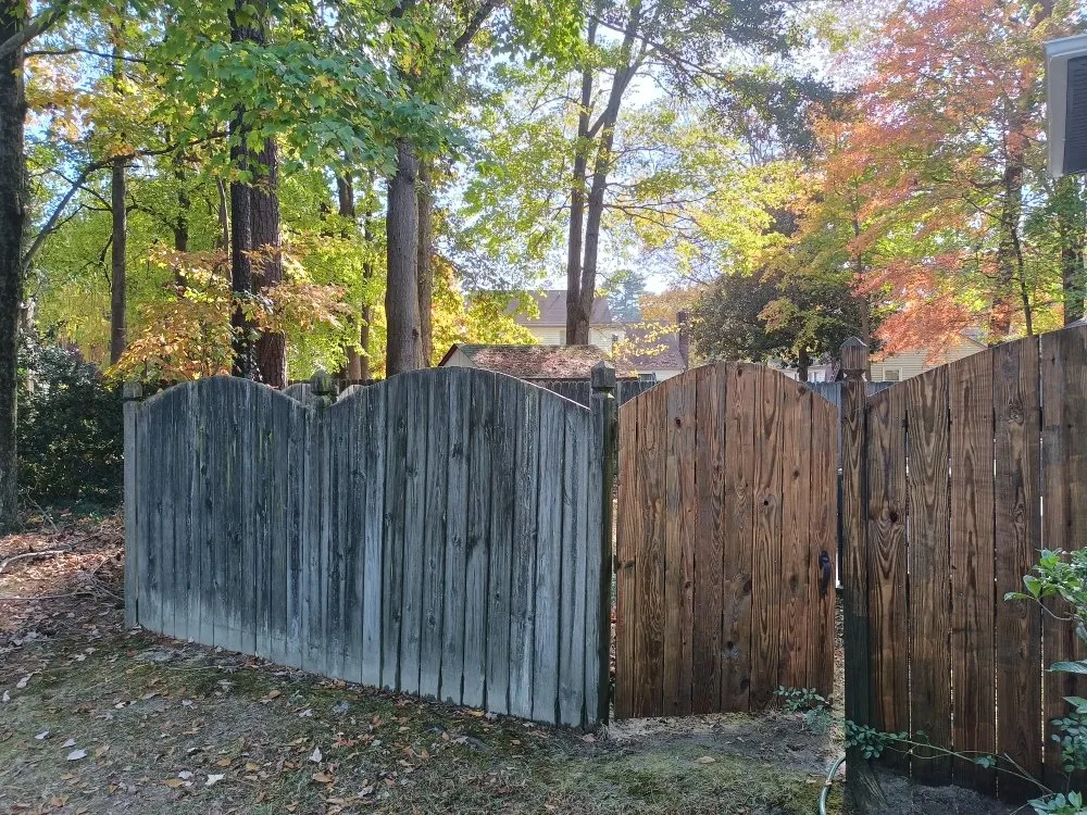 Slide of Whistling Ladders