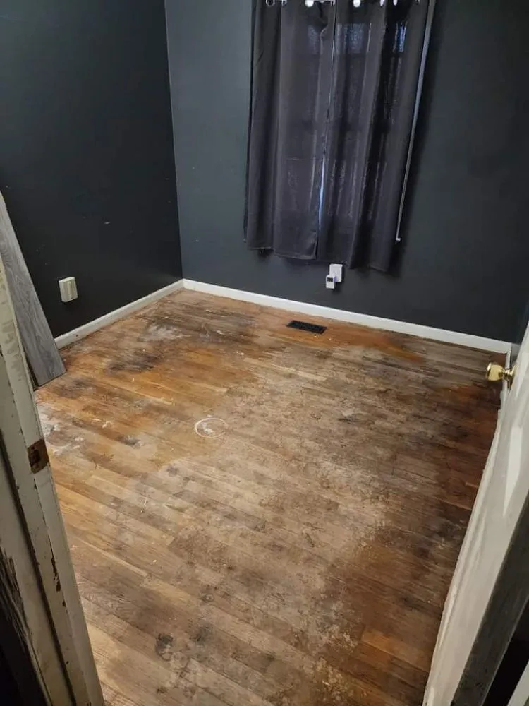 Slide of Whistling Ladders