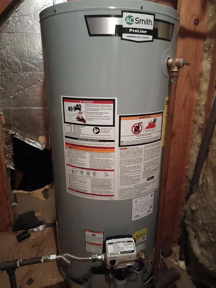 Slide of Whistling Ladders