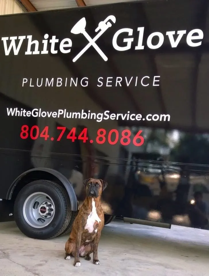 Reliable emergency plumbing experts serving Midlothian, VA - White Glove Plumbing