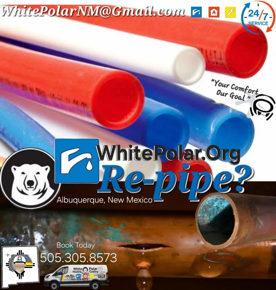 Slide of White Polar