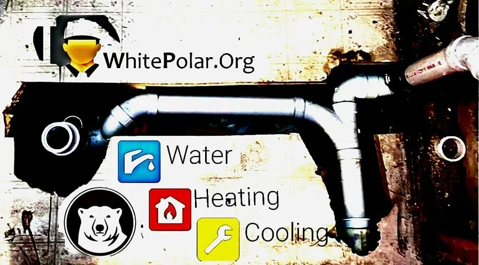 Slide of White Polar