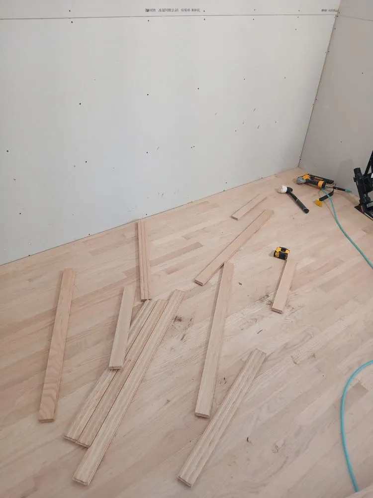 Slide of White Rhino