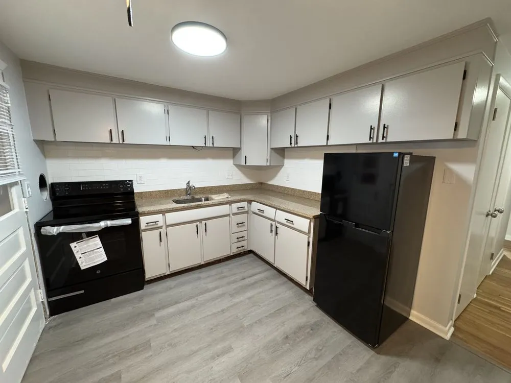 Slide of White Rhino