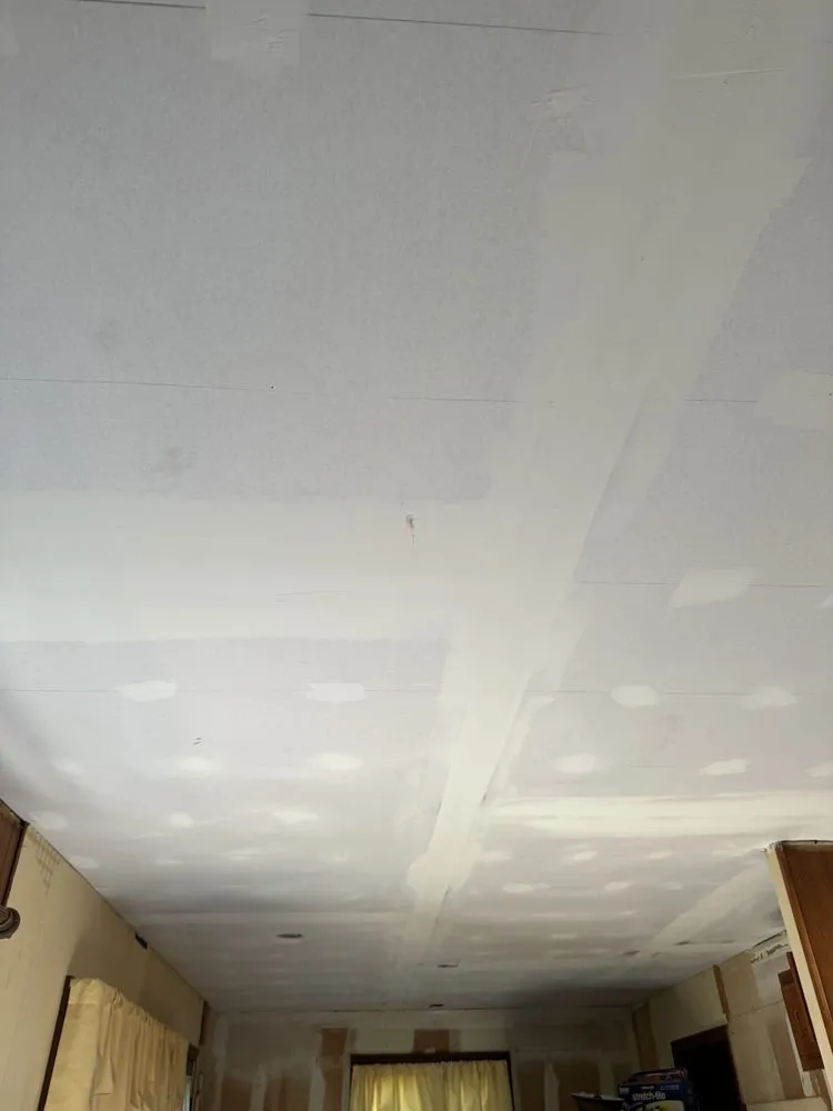 Slide of White Rhino