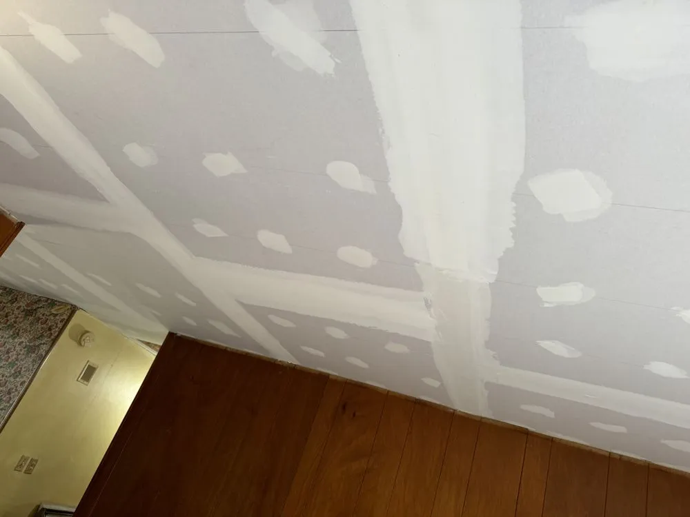 Slide of White Rhino