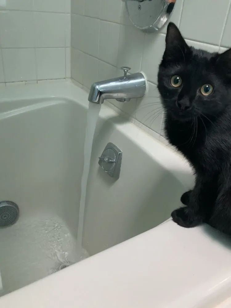 Slide of White Star Sewer & Drain Services