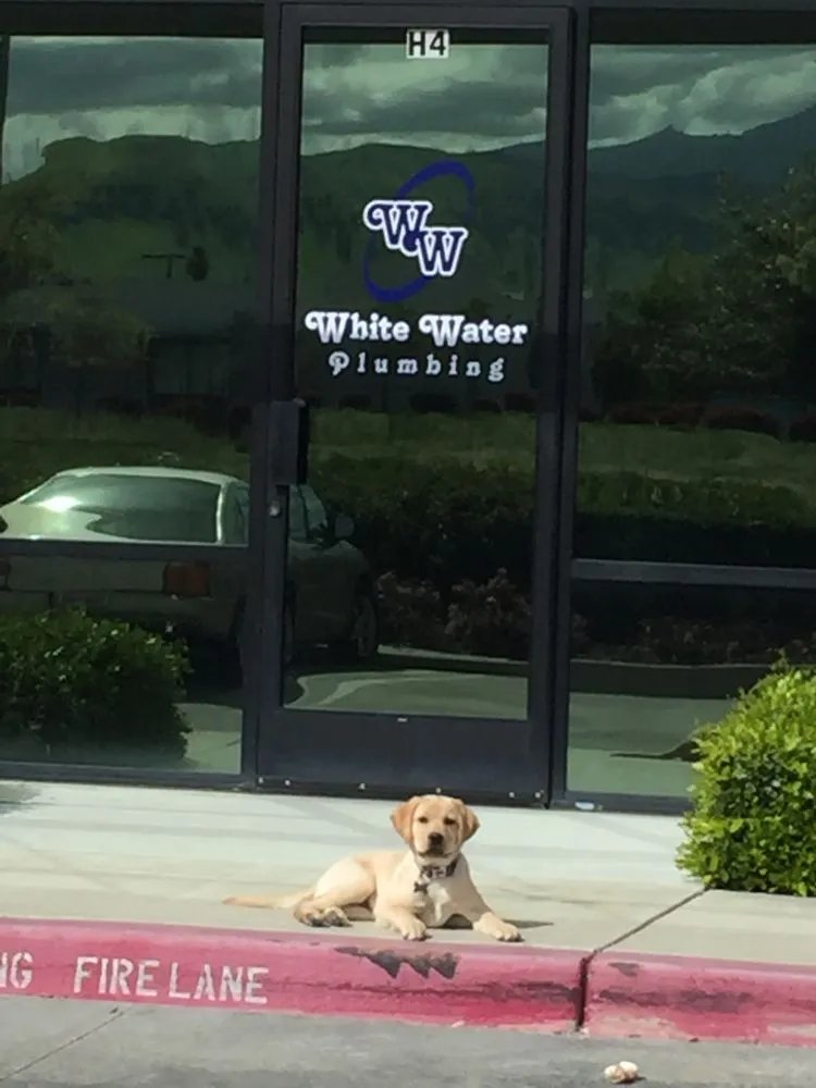 Slide of White Water Plumbing