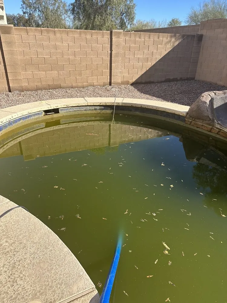 Slide of White Water Pool Care & Repair