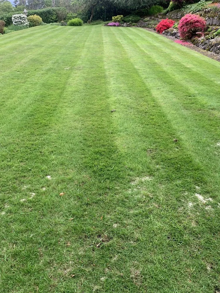 Slide of WhiteCz Lawncare and Cleaning 