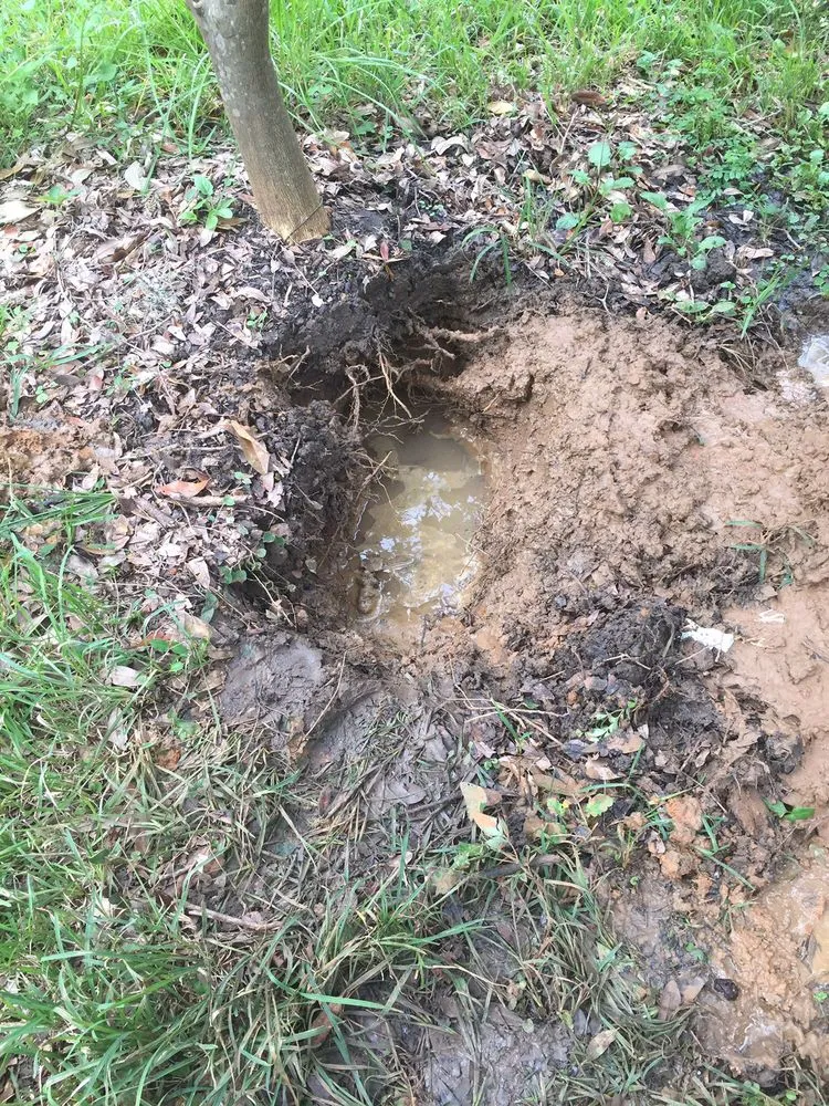 Slide of White's Plumbing