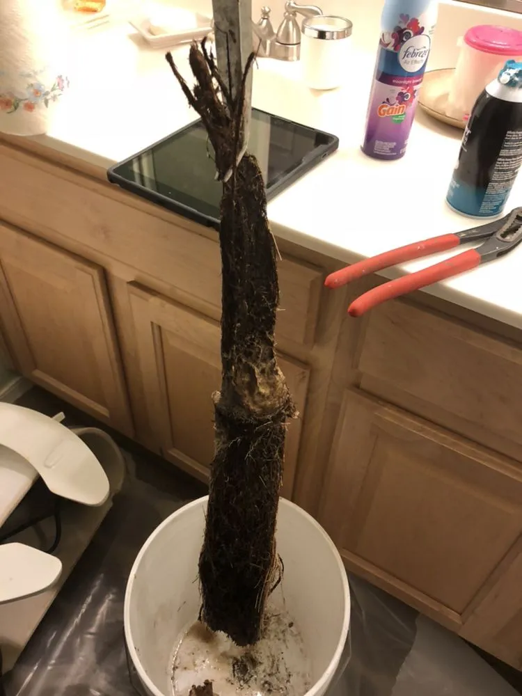 Slide of Whitewater Plumbing and Drain