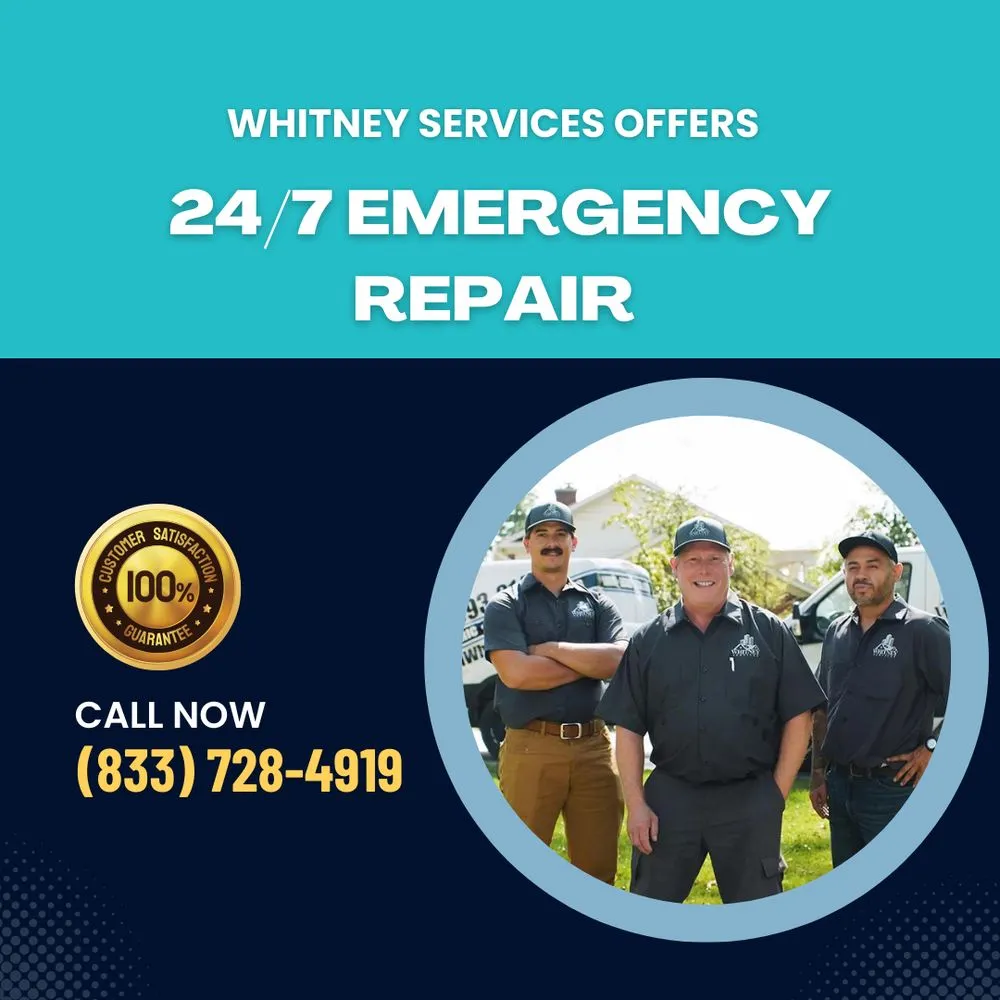 Slide of Whitney Services